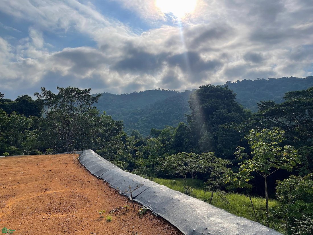 Land in Savegre de Aguirre, Puntarenas Province, Costa Rica 5 - 18584216