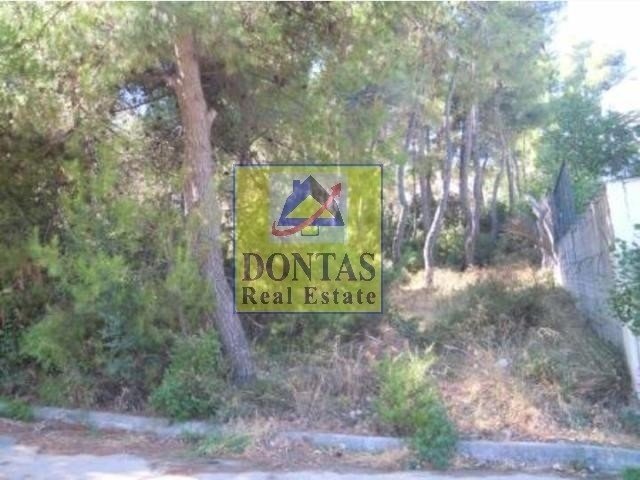 Land in Dionysos, Attica, Greece 4 - 16155962