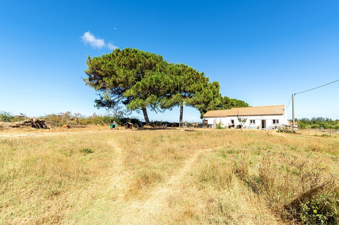 Finca in S.Teotónio, Beja District, Portugal 4 - 18629968