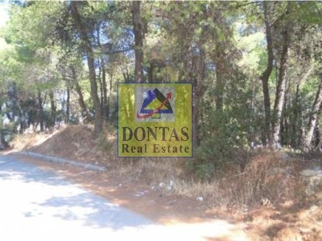 Land in Dionysos, Attica, Greece 1 - 16155962