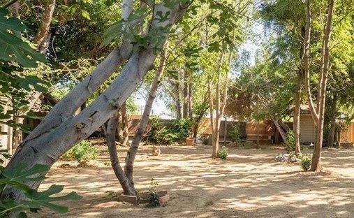 House in Temple City, California, United States 1