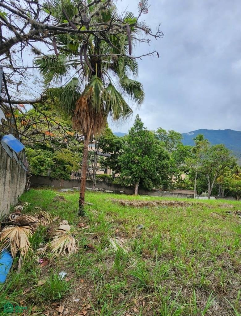 Land in Caracas, Miranda, Venezuela 1 - 17814528