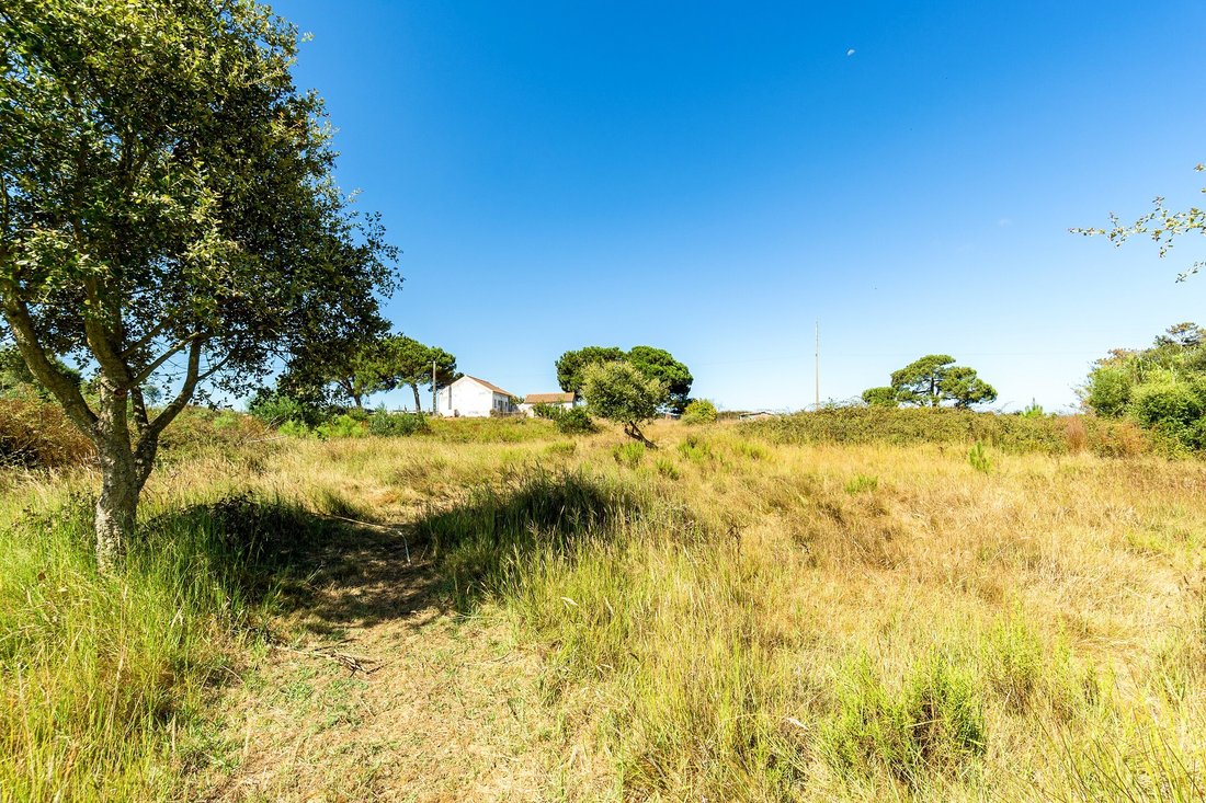 Finca in S.Teotónio, Beja District, Portugal 5 - 18629968