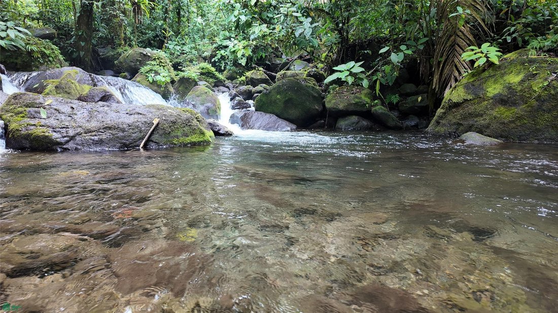 Land in Bijagua, Upala, Costa Rica 2 - 18321239