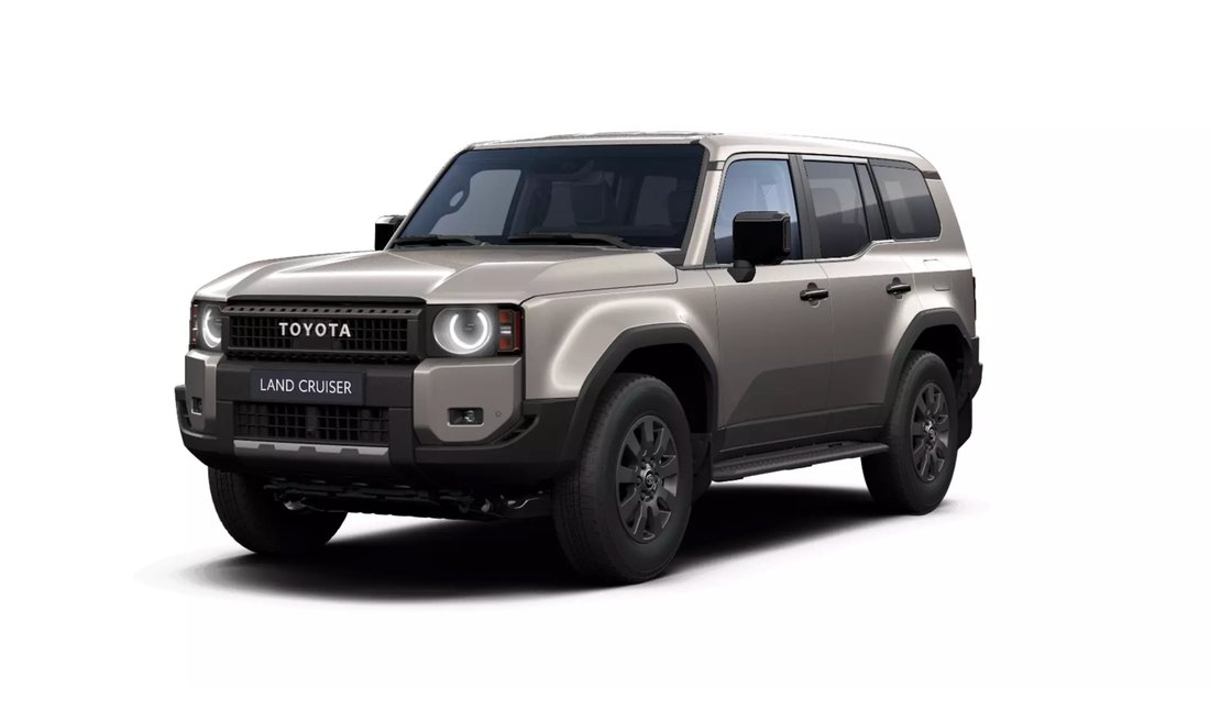 Pickup in Cardedeu, Spain 2 - 18626369