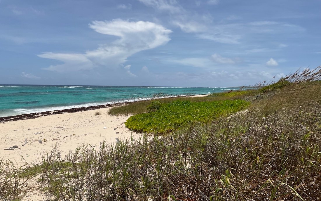 Land in Dunmore Settlement, Long Island, The Bahamas 1 - 18629876