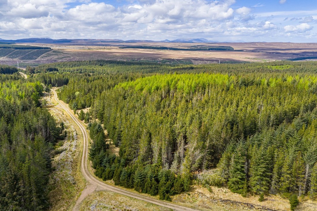 Highland, Scotland 5 - 18626503
