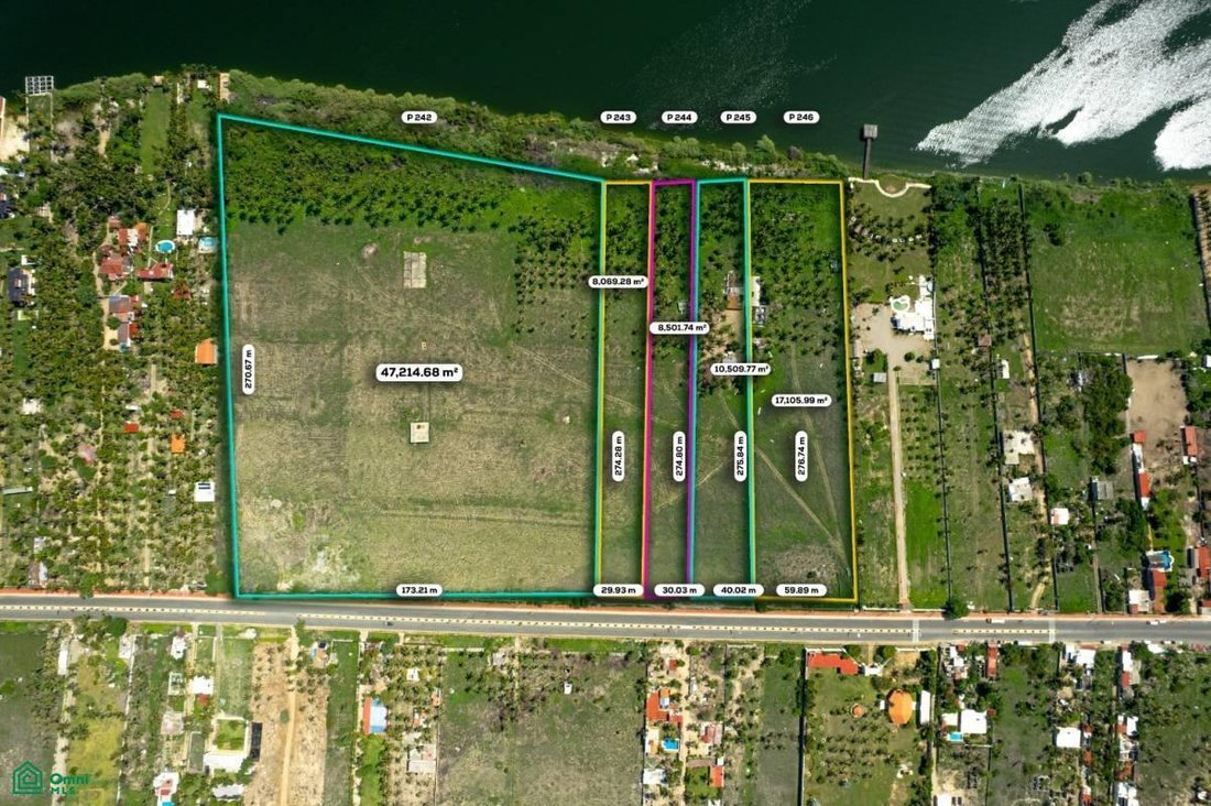 Land in Los Mogotes, Guerrero, Mexico 1 - 18066439
