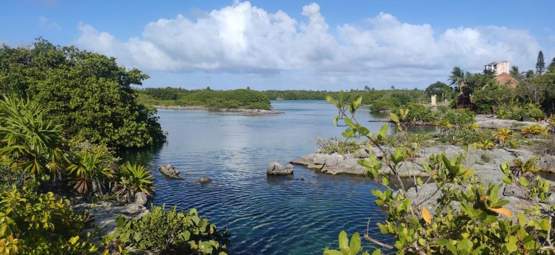 Land in Yalkú, Quintana Roo, Mexico 2 - 18626372