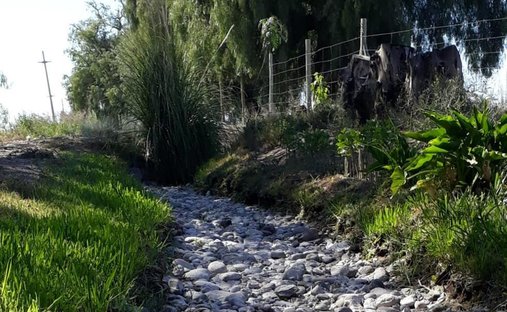Land in Maipú, Mendoza Province, Argentina 1