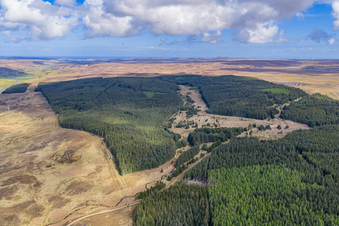 Highland, Scotland 1 - 18626503