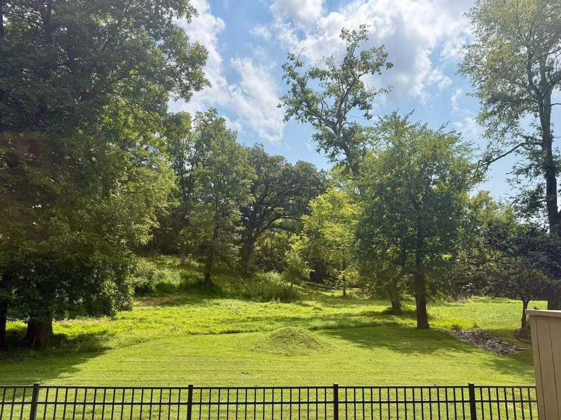 House in Nashville, Tennessee, United States 3 - 18554608