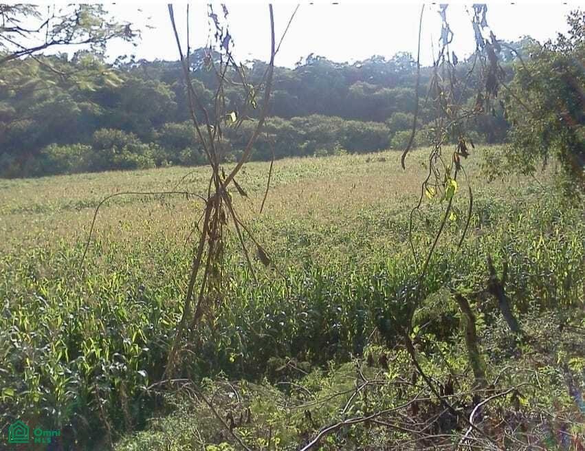 Land in Tonatico, State of Mexico, Mexico 3 - 17811079