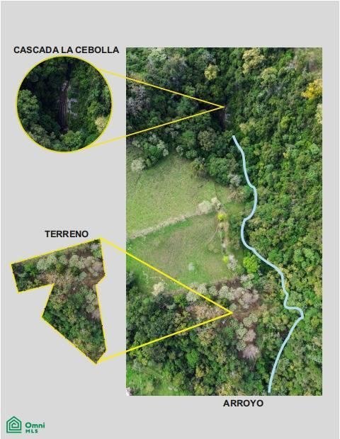 Land in Xilitla, San Luis Potosi, Mexico 2 - 17811381