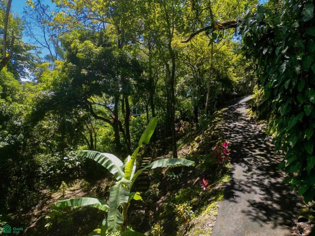 House in Quepos, Puntarenas Province, Costa Rica 2 - 17088848