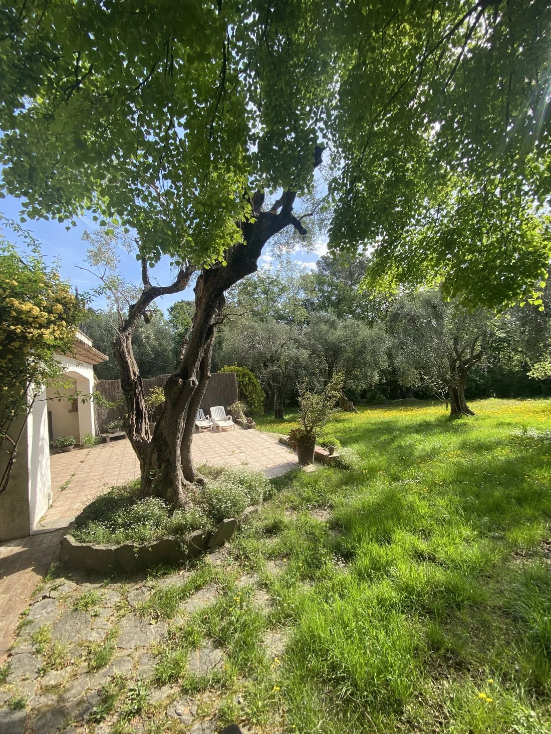 Estate in Mougins, Provence-Alpes-Côte d'Azur, France 5 - 18630223