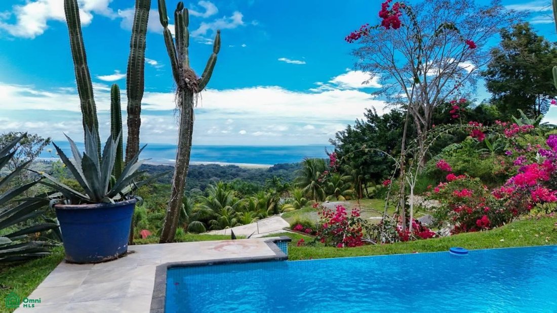 House in Tortuga Arriba, Puntarenas Province, Costa Rica 5 - 17430940