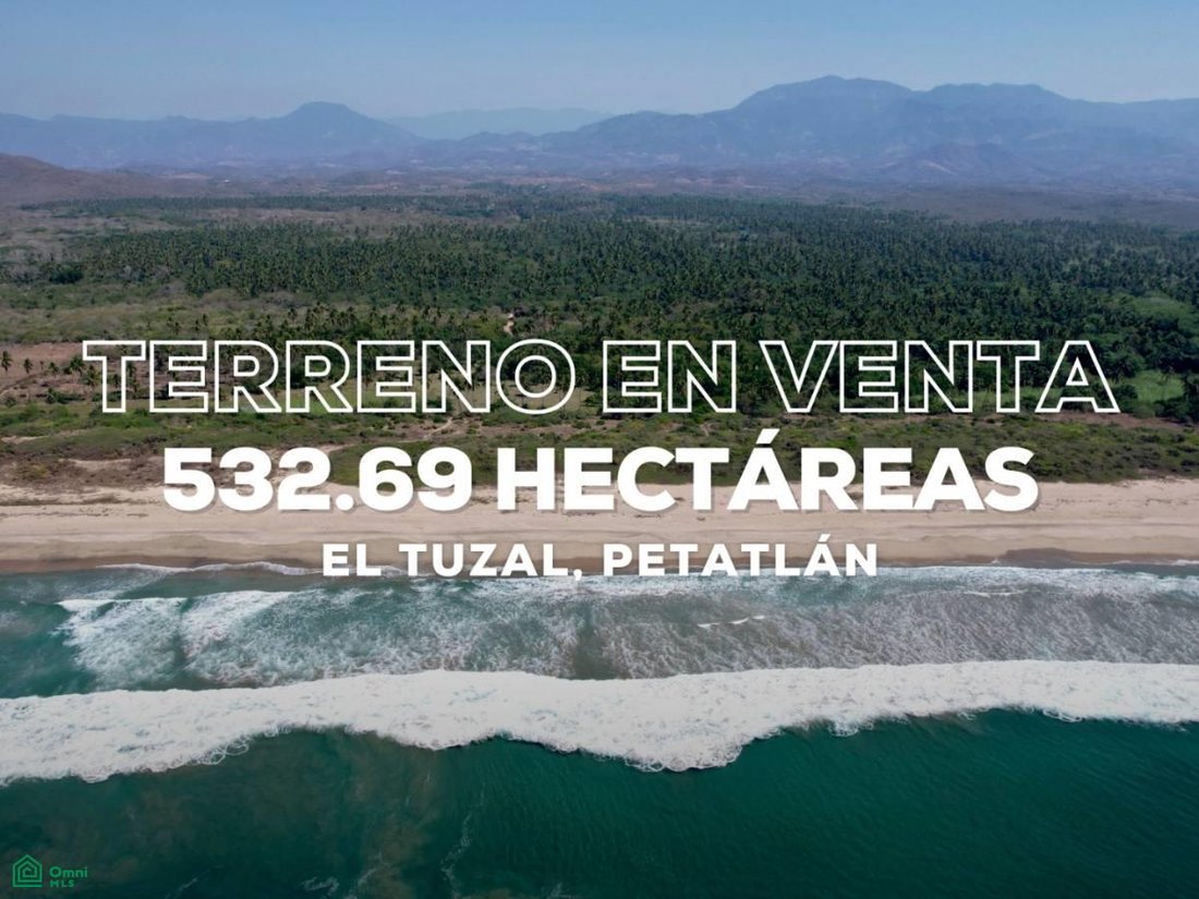 Land in Puente del Tuzal, Guerrero, Mexico 5 - 18353138
