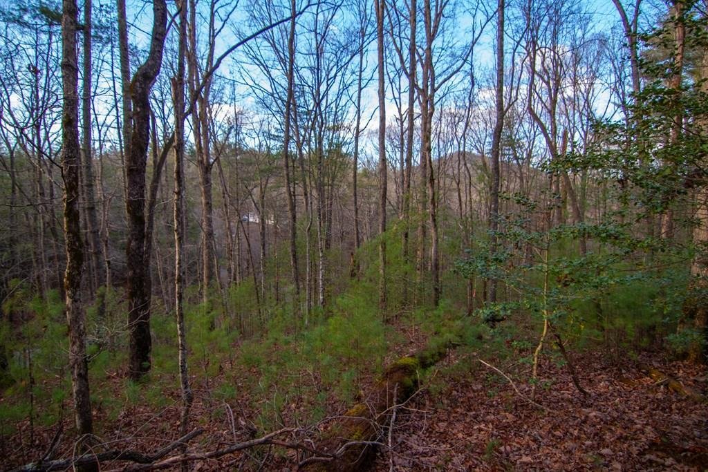 House in Blue Ridge, Georgia, United States 2 - 17757817