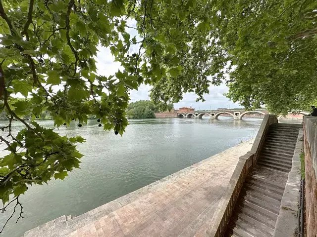 Apartment in Saint Cyprien, Toulouse, France 5 - 16297093
