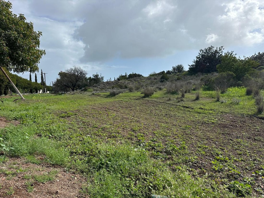 Land in Moni, Limassol, Cyprus 3 - 17287696