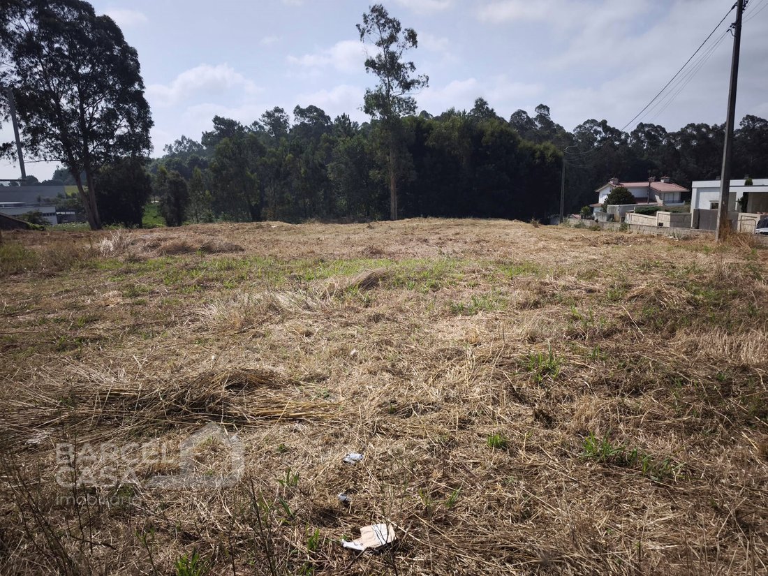 Land in Negreiros e Chavao, Braga, Portugal 3 - 18629959