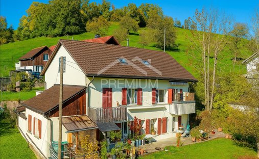 House in Selzach, Solothurn, Switzerland 1