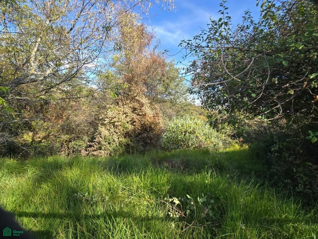 Land in Santa Catarina Yecahuitzotl, Mexico City, Mexico 4 - 17811497