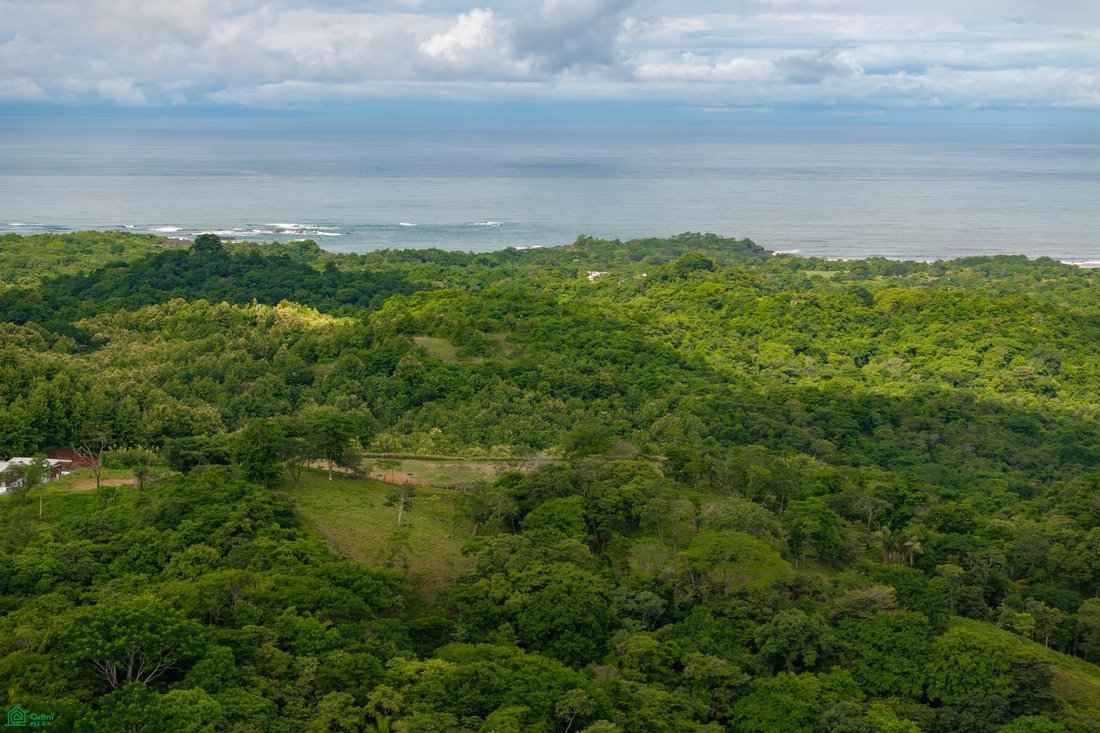 Land in Santacruz, Santa Cruz, Costa Rica 4 - 17810960
