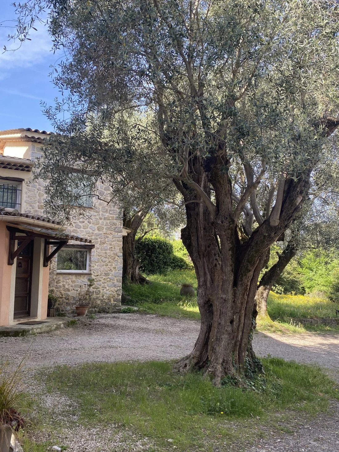 Estate in Mougins, Provence-Alpes-Côte d'Azur, France 3 - 18630223