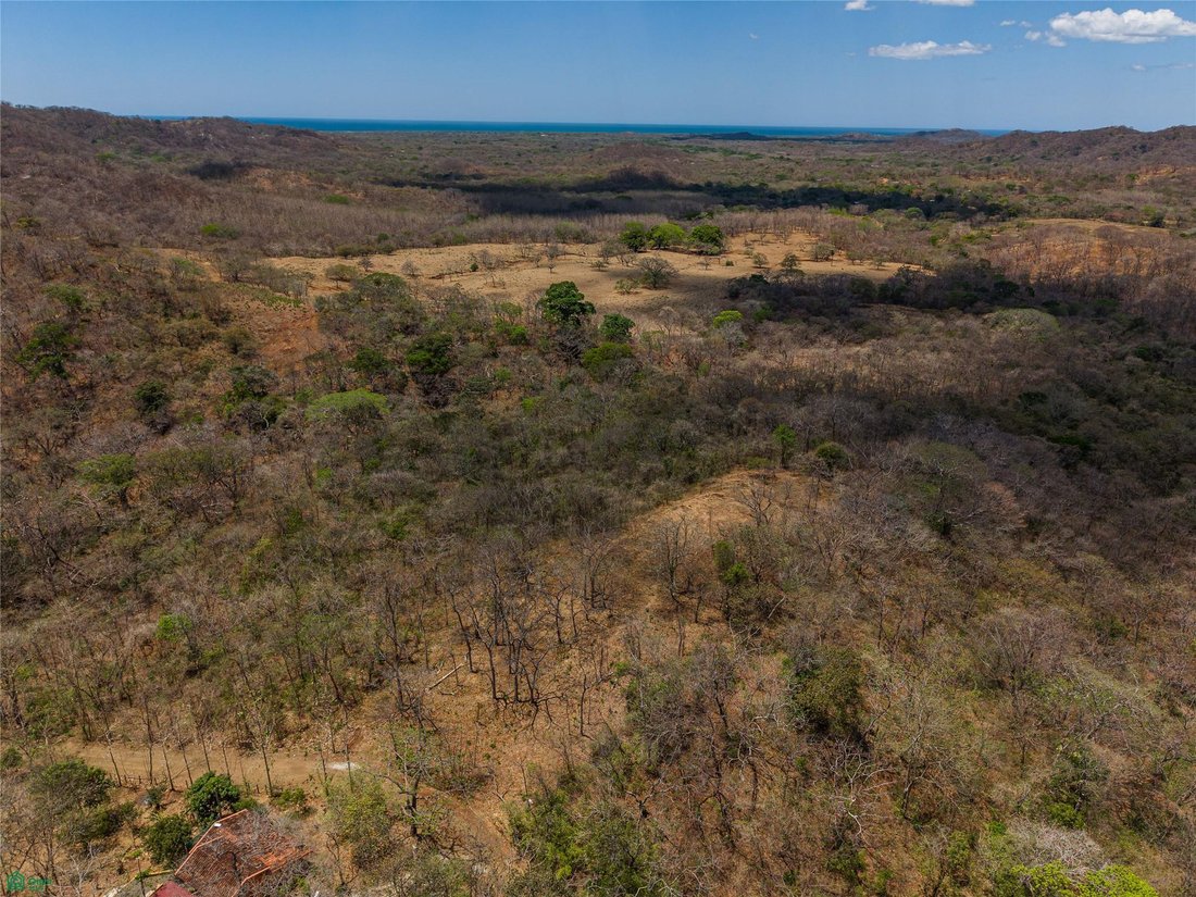 Land in Tamarindo, Santa Cruz, Costa Rica 5 - 18030339