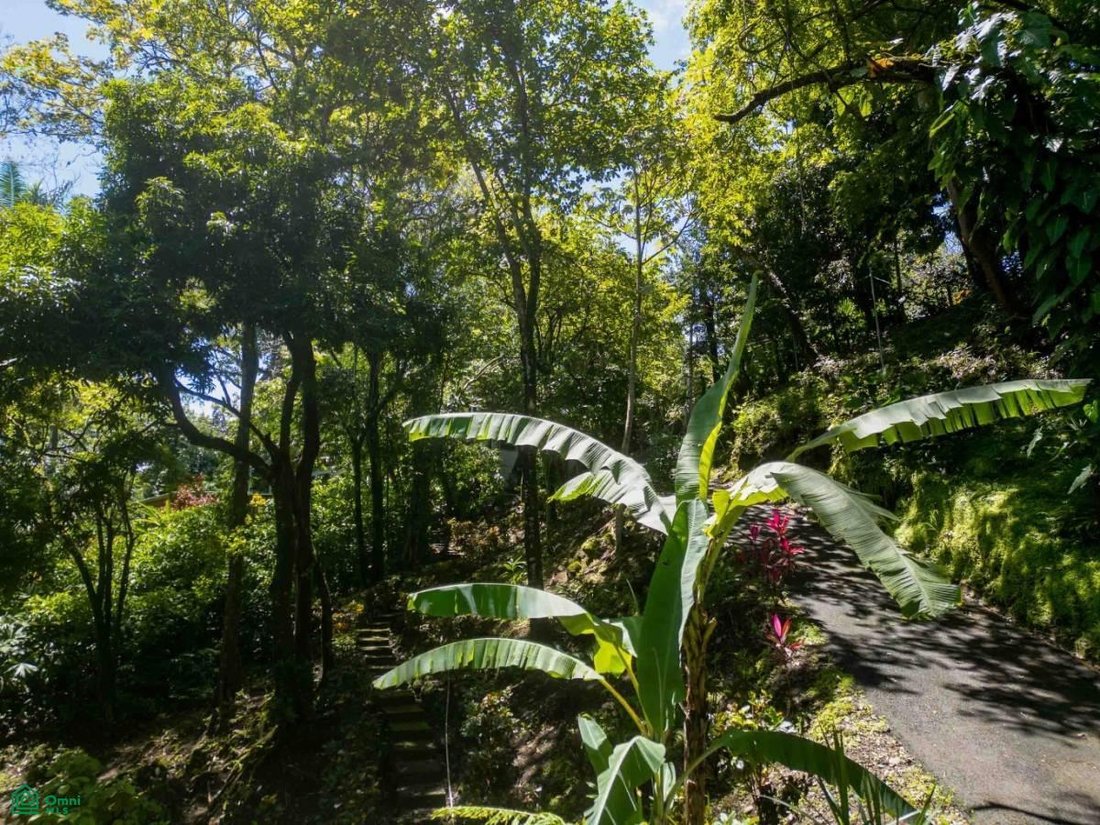 House in Quepos, Puntarenas Province, Costa Rica 1 - 17088848