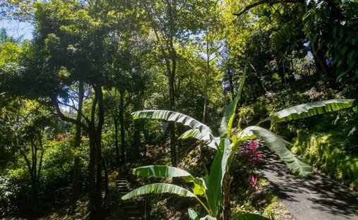 House in Quepos, Puntarenas Province, Costa Rica 1