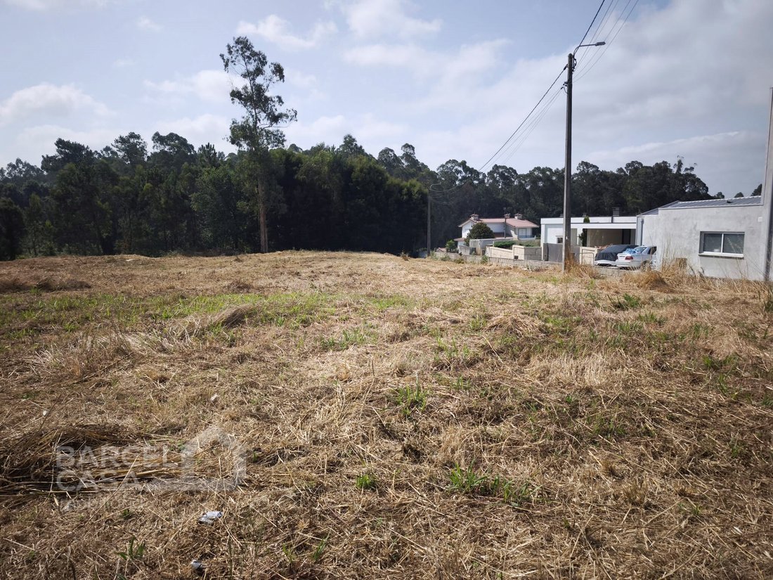 Land in Negreiros e Chavao, Braga, Portugal 4 - 18629959