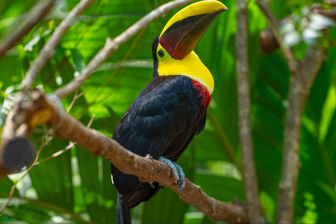 Terreno en Huacas, Provincia de Guanacaste, Costa Rica 5 - 18030401