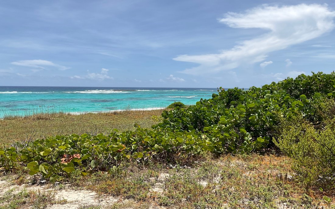 Land in Dunmore Settlement, Long Island, The Bahamas 5 - 18629876