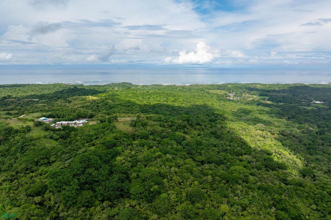 Land in Santacruz, Santa Cruz, Costa Rica 5 - 17810960