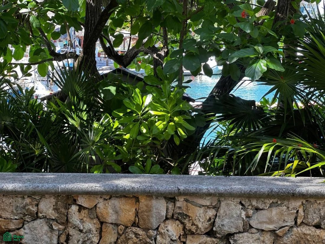 Condo in Puerto Aventuras, Quintana Roo, Mexico 4 - 17232534