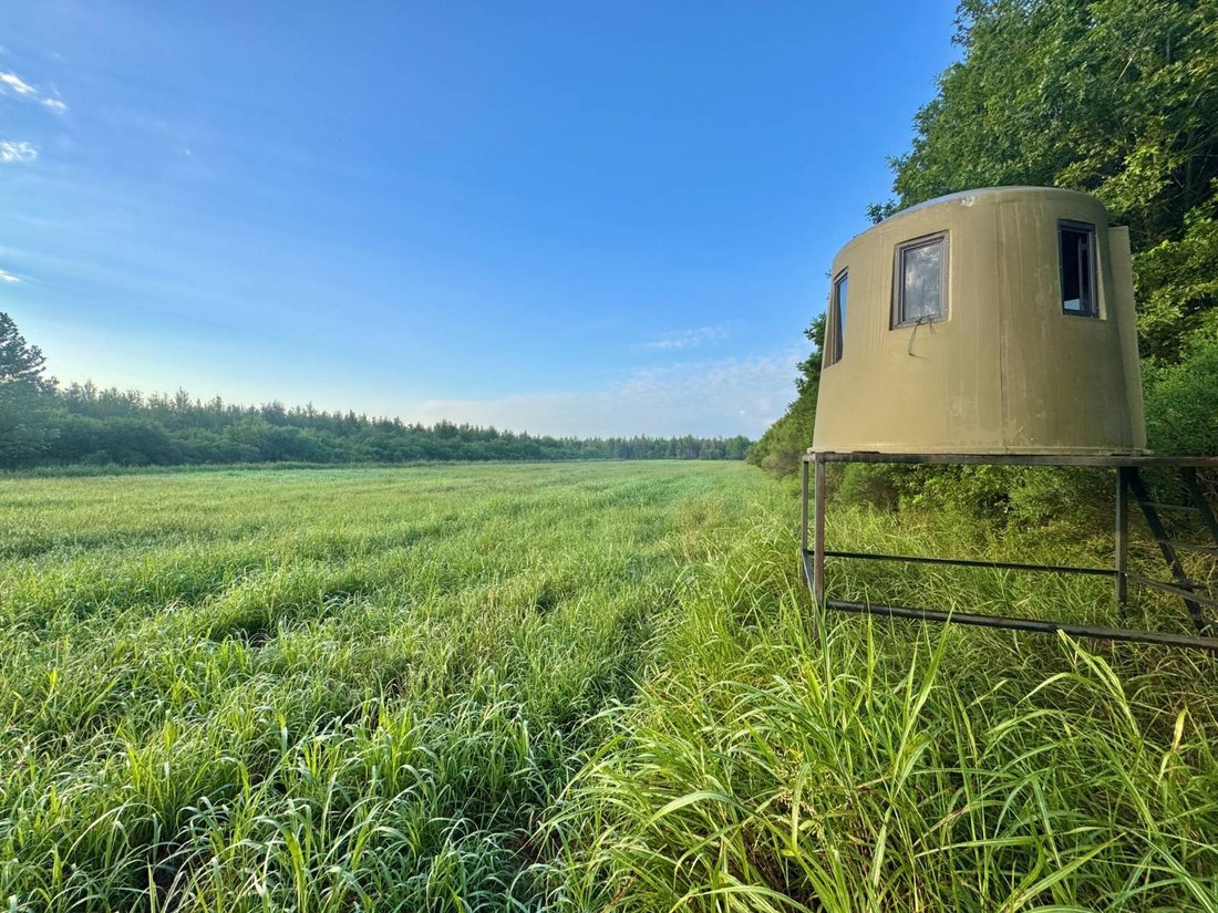 Land in Minorca, Louisiana, United States 3 - 18629407