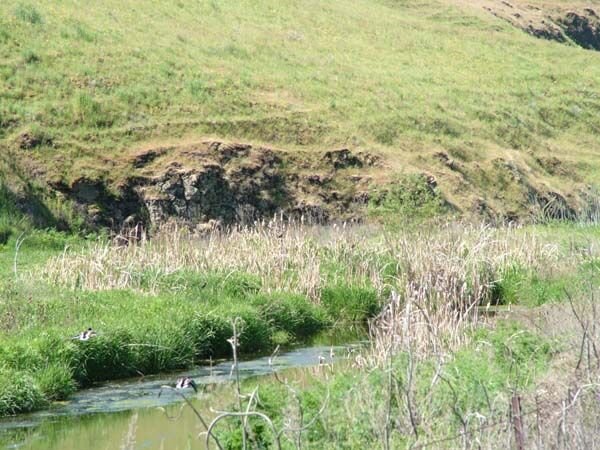 Farm Ranch in Hay, Washington, United States 4 - 17635615