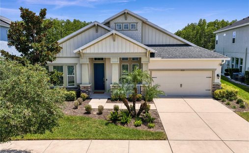 House in Odessa, Florida, United States 1