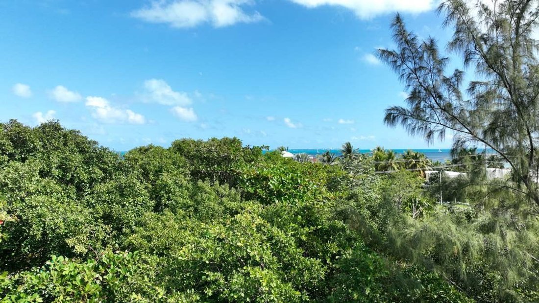 Apartment in Cancún, Quintana Roo, Mexico 4 - 18630757