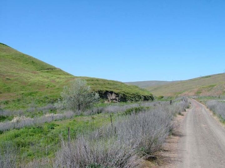 Farm Ranch in Hay, Washington, United States 3 - 17635615