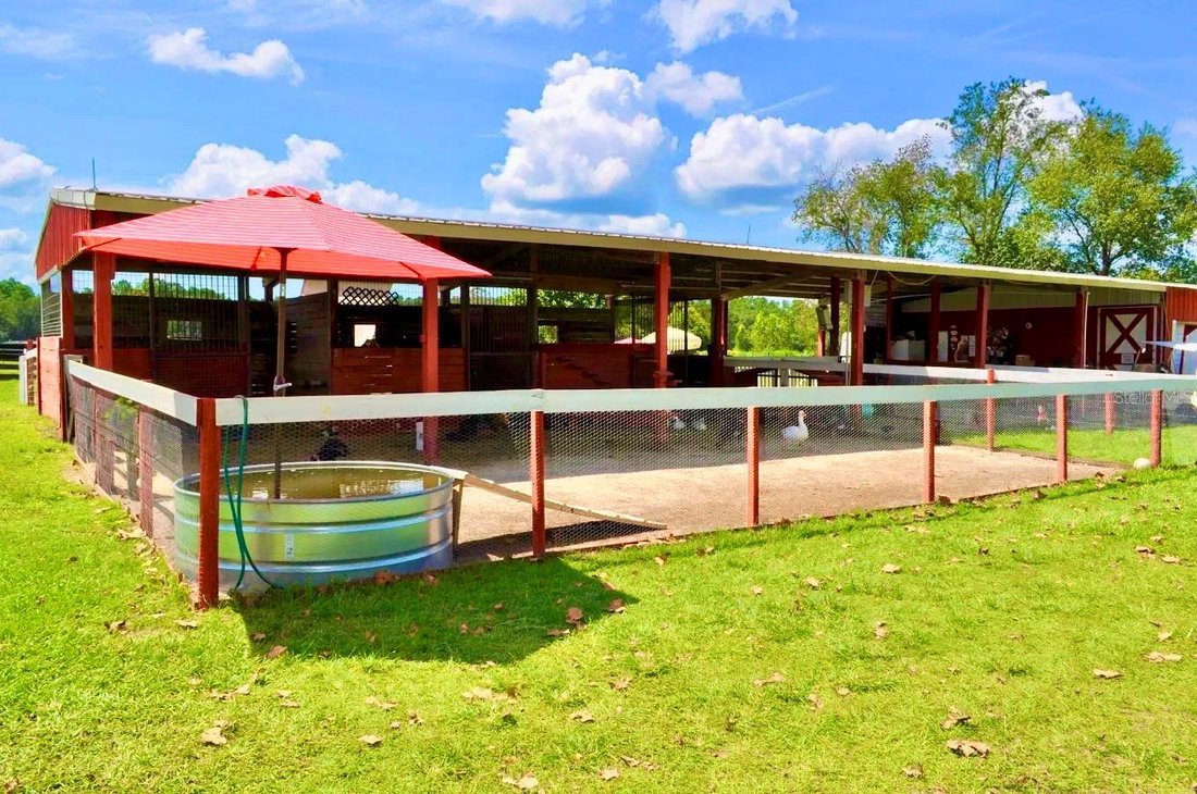 Farm Ranch in Ocala, Florida, United States 5 - 18628965