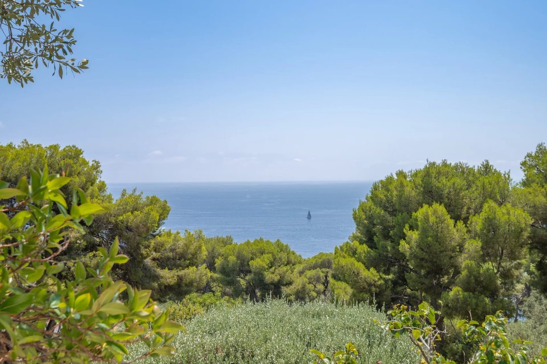 Apartment in Cap-d'Ail, Provence-Alpes-Côte d'Azur, France 5 - 18629835