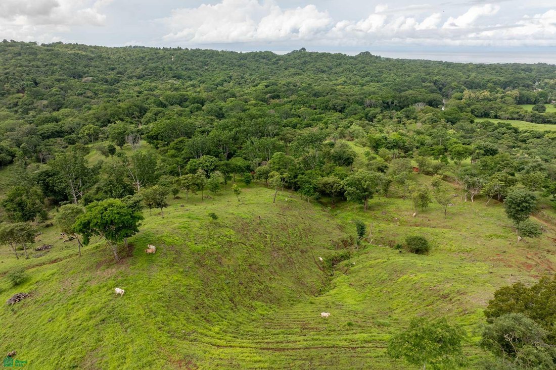 Land in Santa Cruz, Santa Cruz, Costa Rica 5 - 17810962
