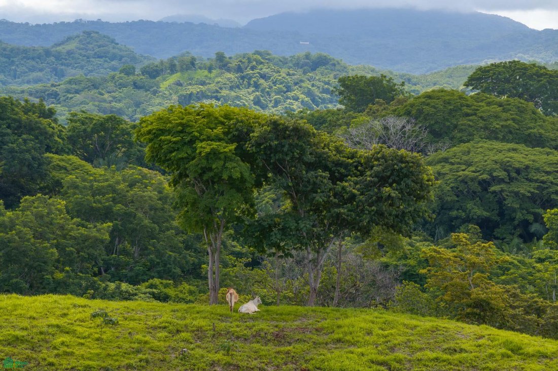 Land in Santa Cruz, Santa Cruz, Costa Rica 3 - 17810962