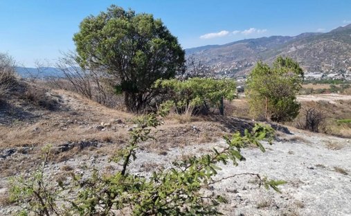 Terrain à Chilpancingo, Guerrero, Mexique 1