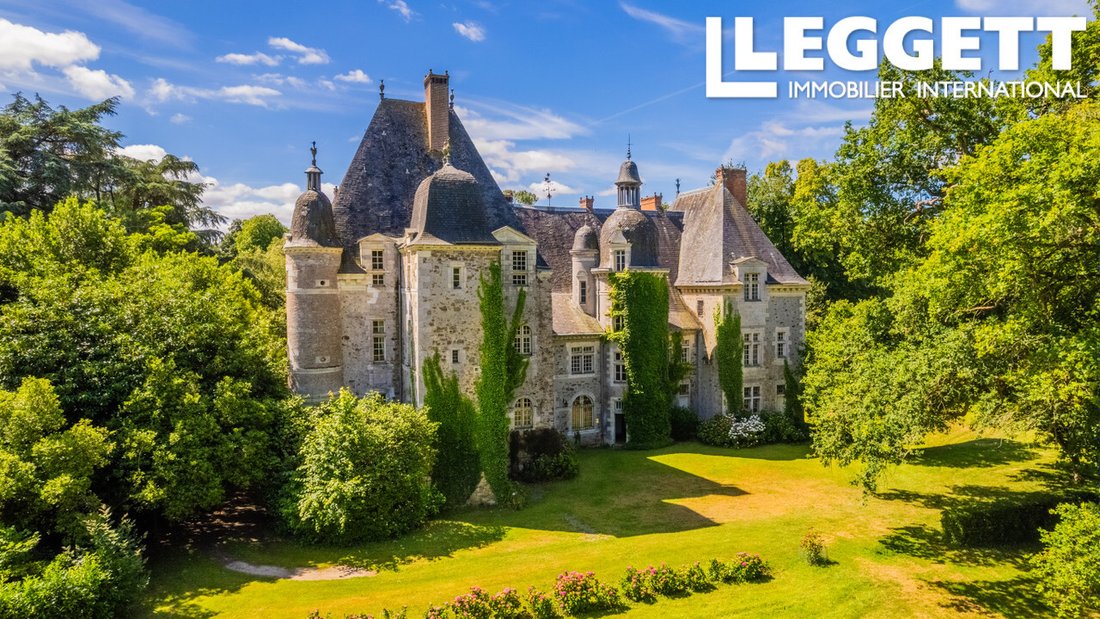 Castle in Chaze-sur-Argos, Pays de la Loire, France 1 - 18630209
