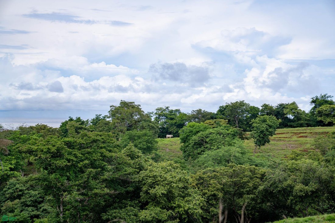 Land in Santa Cruz, Santa Cruz, Costa Rica 1 - 17810962